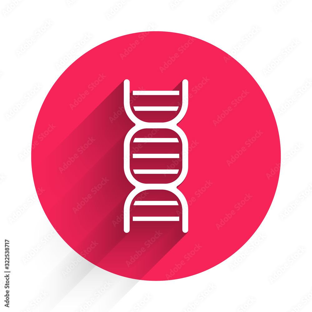 白色DNA符号图标与长阴影隔离。红色圆圈按钮。矢量插图