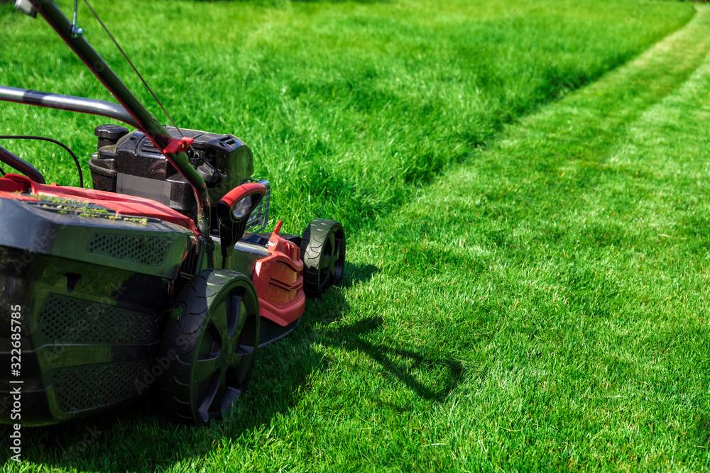 Lawn mower cutting green grass in backyard, mowing lawn