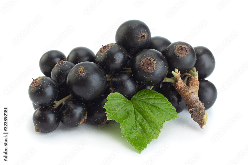 Black currant berries closeup