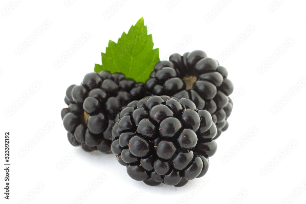 Blackberry berry closeup