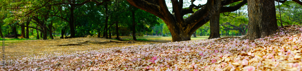 PINK FLOWERS FELT ON THE FLOOR IN A PARK 