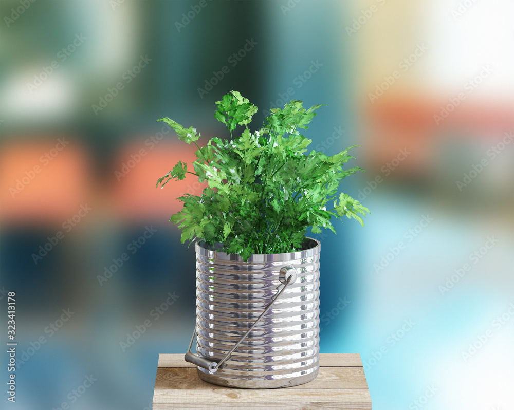 Parsley。木质表面的新鲜香草，3d渲染