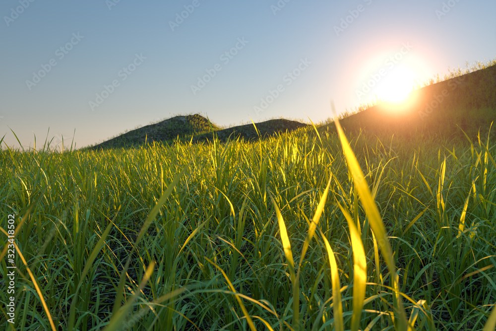 Grass field and mountains with bright background,3d rendering.