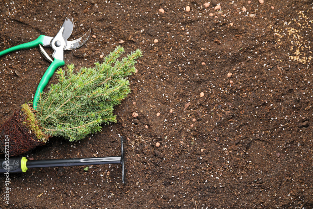 Gardening supplies with plant on soil