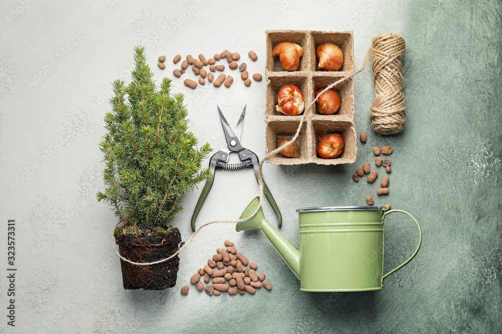 Set of gardening supplies with plant on color background