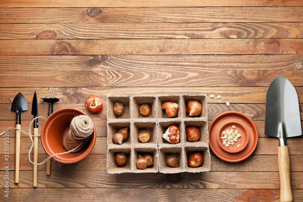 Set of gardening supplies on wooden background