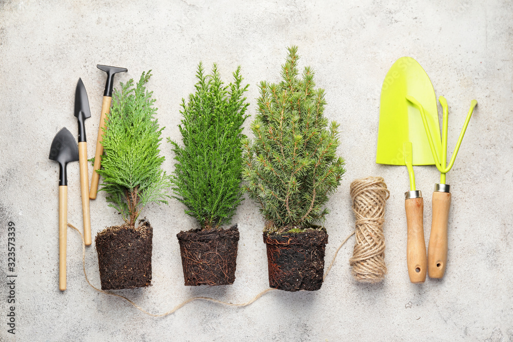 Gardening supplies with plants on white background