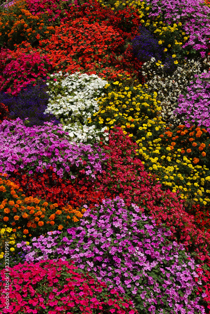 Flowers texture background