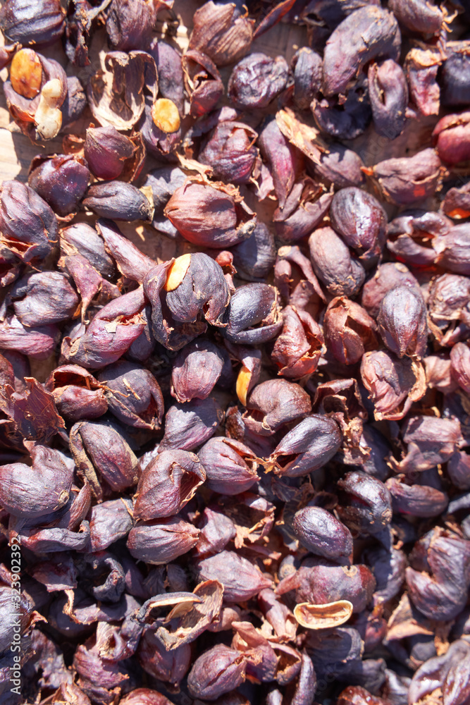 Raw coffee beans natural exposured with sunlight on a sieve outside the procedure factory before roa