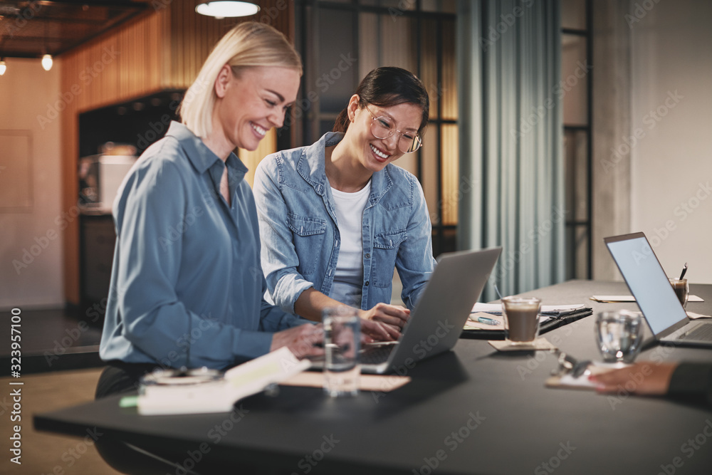 Smiling businesswomen working together on a laptop in an office