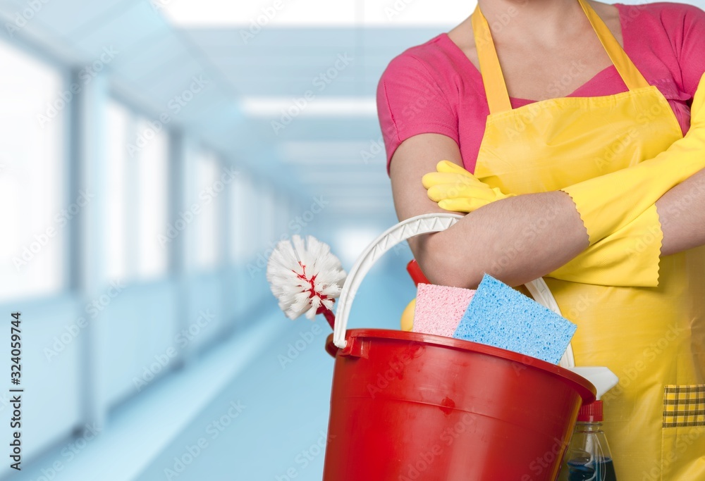 Beautiful young woman housewife with a cleaning bucket