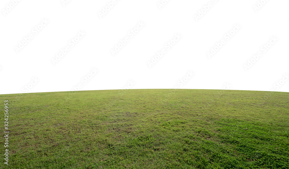 Green grass field background