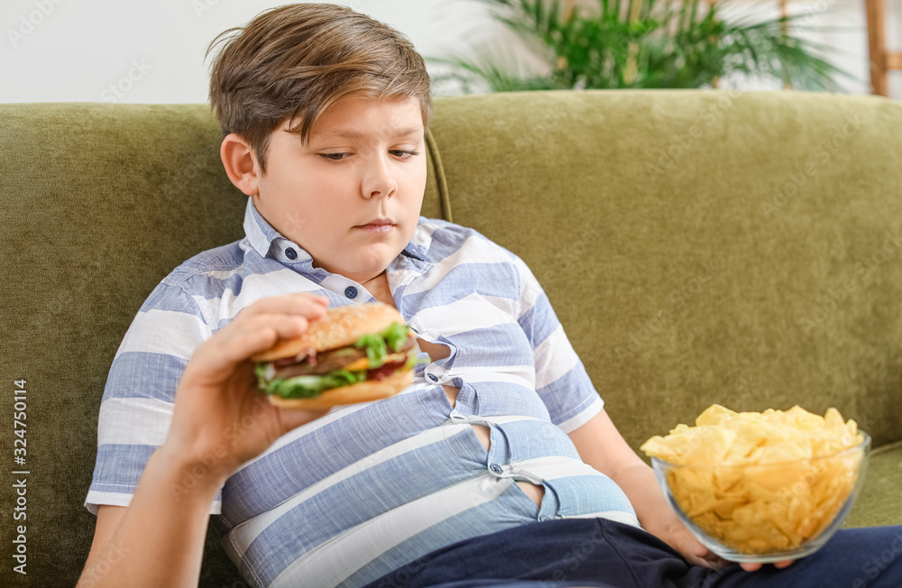 Overweight boy with junk food at home