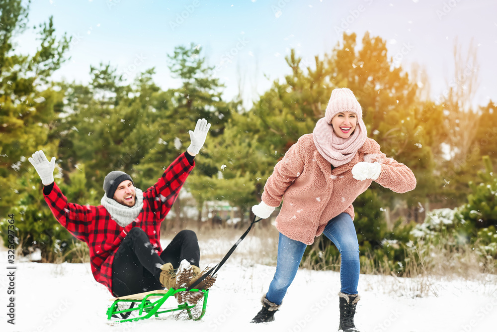 快乐的年轻情侣在公园里玩雪橇