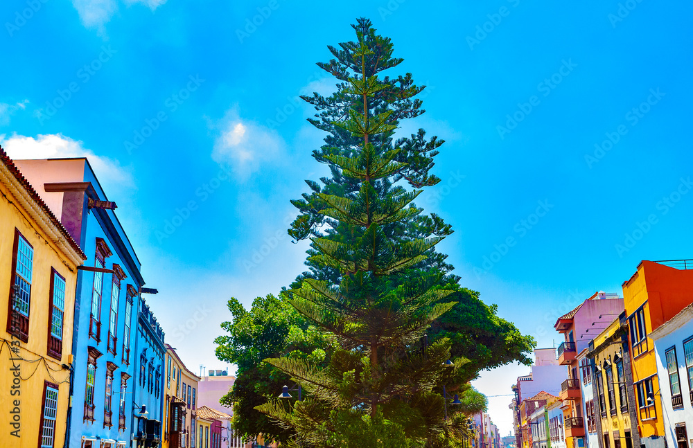 Landmark and vacations in Spanish beachs.Canary Islands.Tenerife,La laguna village.Travel and touris