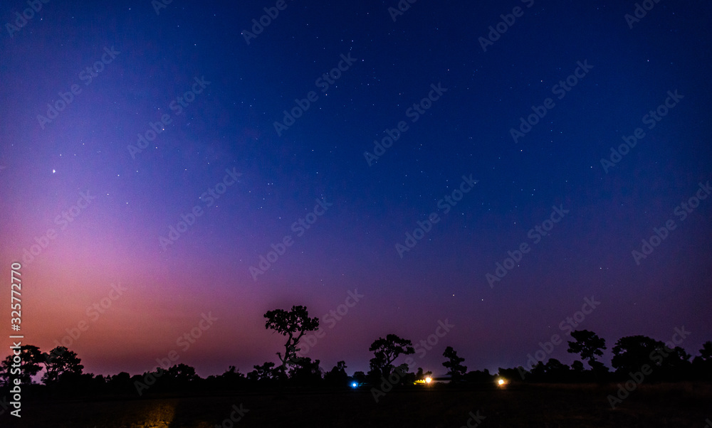 令人惊叹的蓝色黑暗夜空，树木上方有许多恒星。Milkyway宇宙背景。Univers