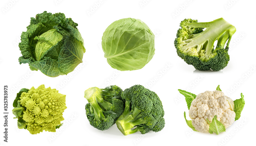 Different types of cabbage isolated on white background