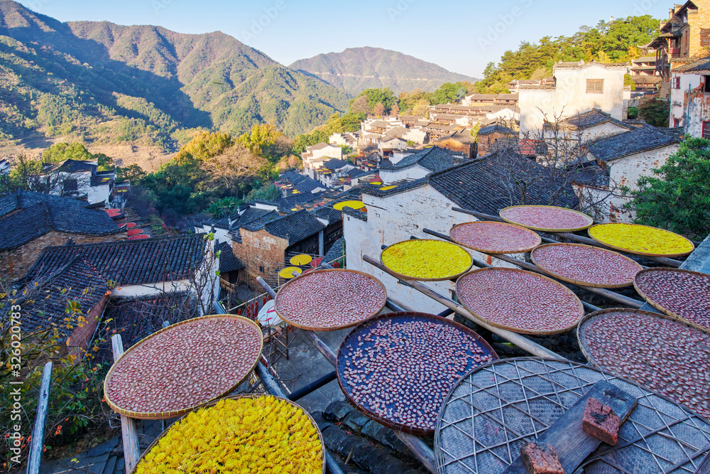 Bu Ling Sun Qiu in Wuyuan county Jiangxi province, China.