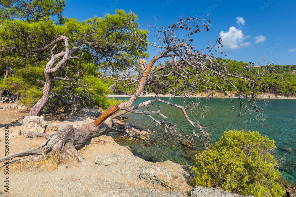 Beautiful costline at the ancient Phaselis city, Turkey