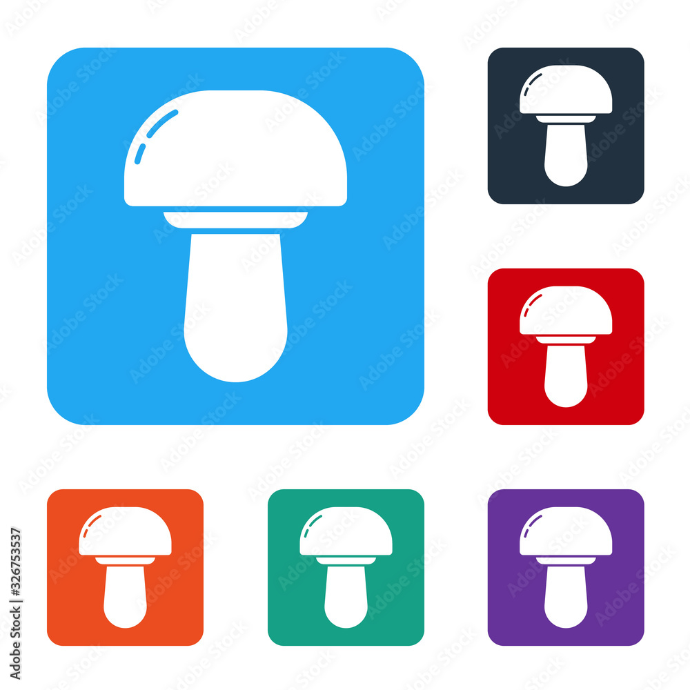 White Mushroom icon isolated on white background. Set icons in color square buttons. Vector Illustra