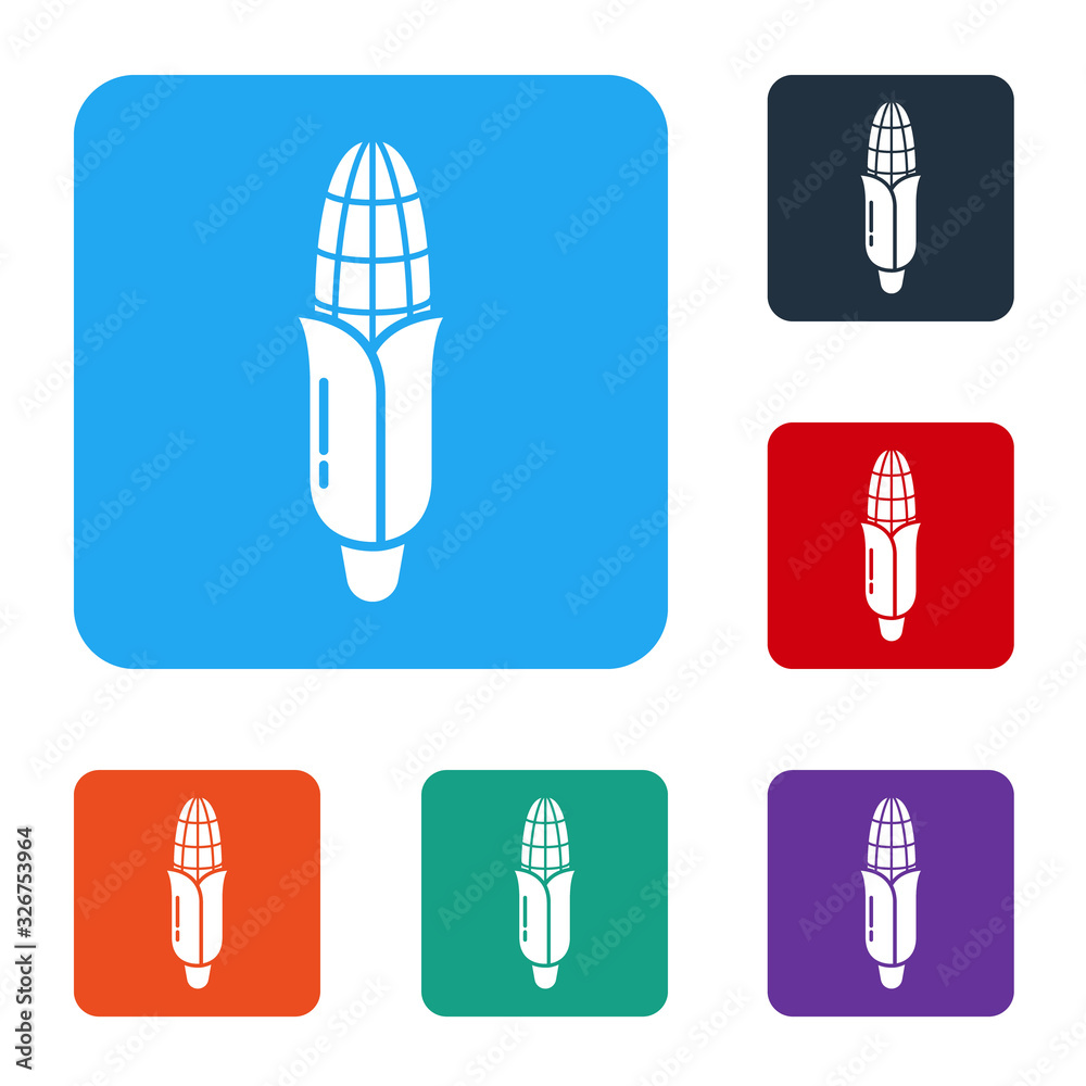 White Corn icon isolated on white background. Set icons in color square buttons. Vector Illustration