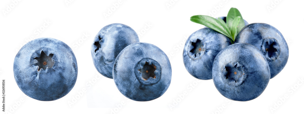 Blueberry isolated. Blueberry on white. Bilberry. Bilberry on white background.