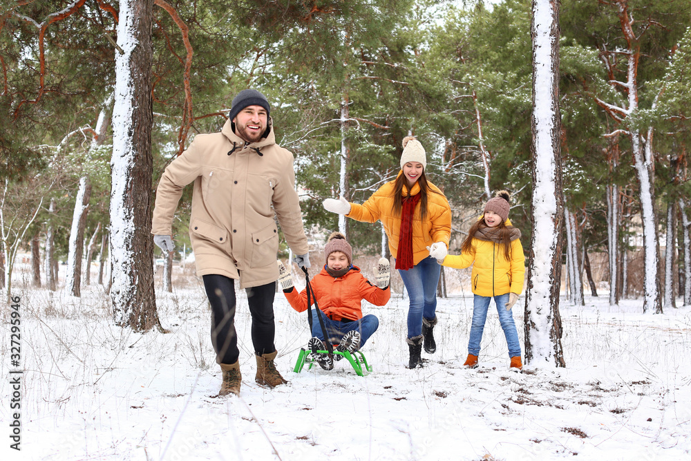 Happy family sledging in park on winter day