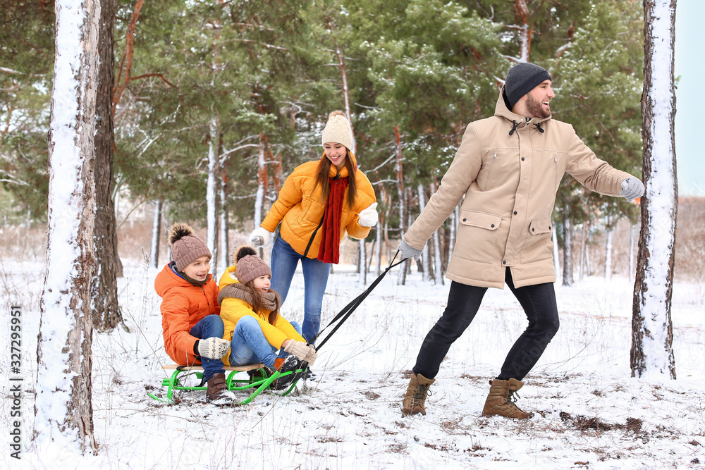 Happy family sledging in park on winter day