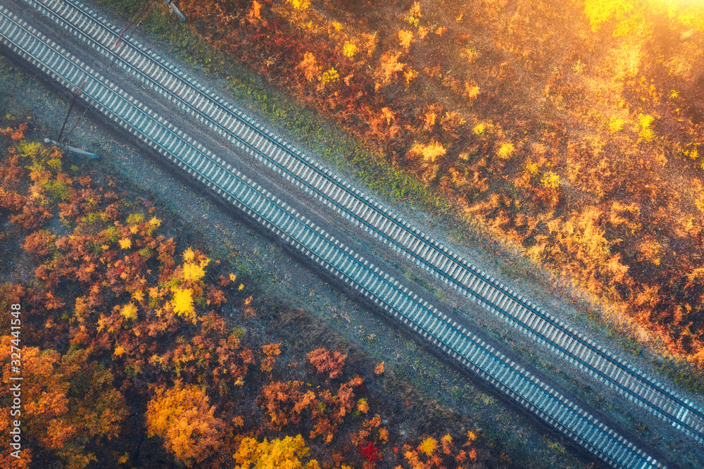 Aerial view of railroad in beautiful forest at sunset in autumn. Industrial landscape with railway s