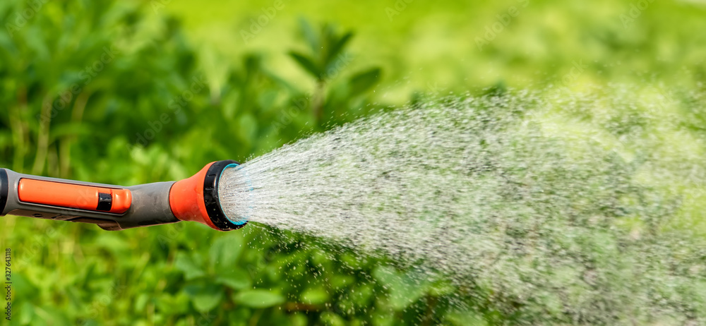 温室花园中的植物浇水