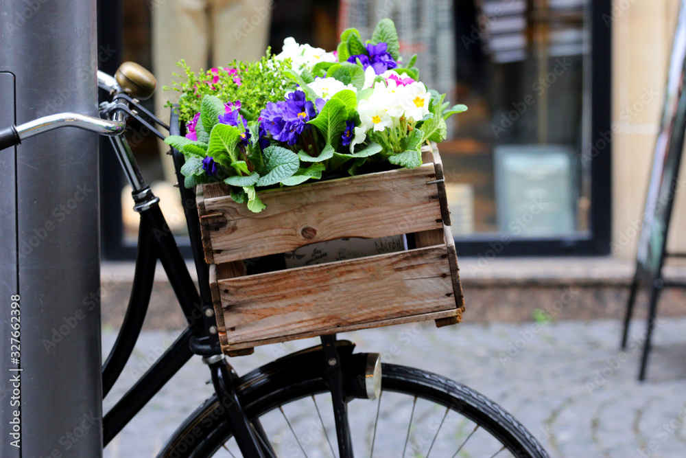 布鲁门的Fahrrad