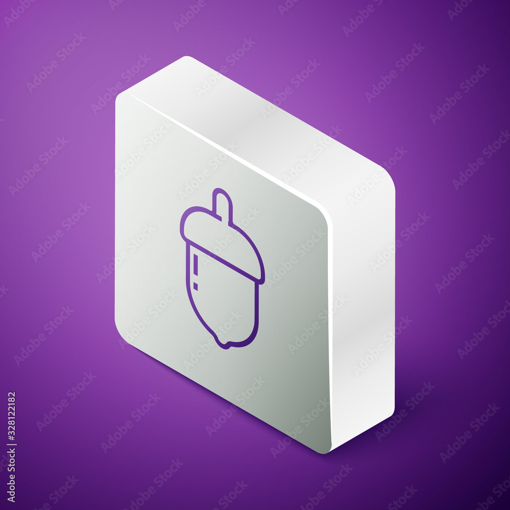 Isometric line Acorn icon isolated on purple background. Silver square button. Vector Illustration