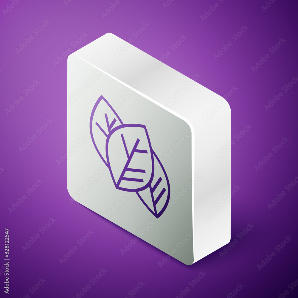 Isometric line Leaf icon isolated on purple background. Leaves sign. Fresh natural product symbol. S