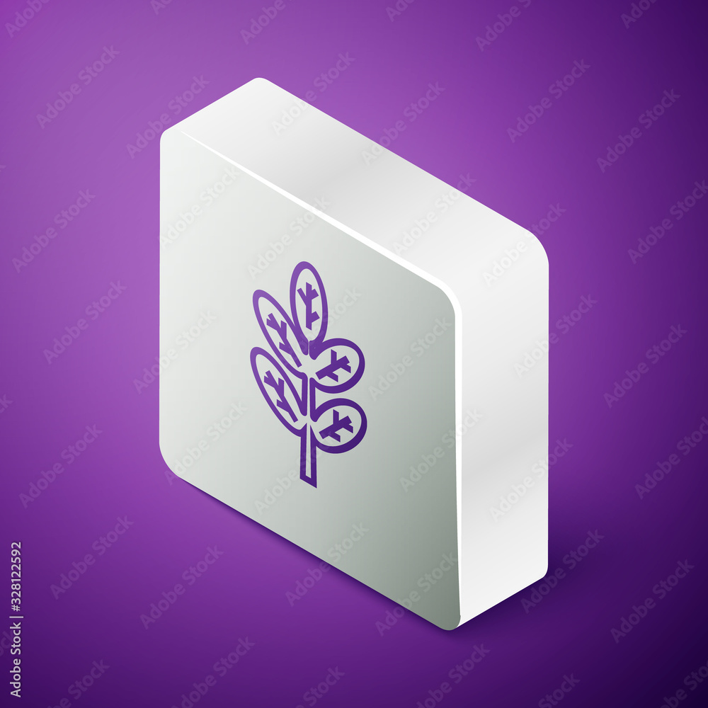 Isometric line Leaf icon isolated on purple background. Leaves sign. Fresh natural product symbol. S