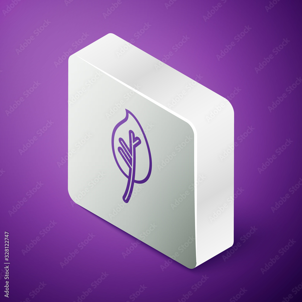 Isometric line Leaf icon isolated on purple background. Leaves sign. Fresh natural product symbol. S