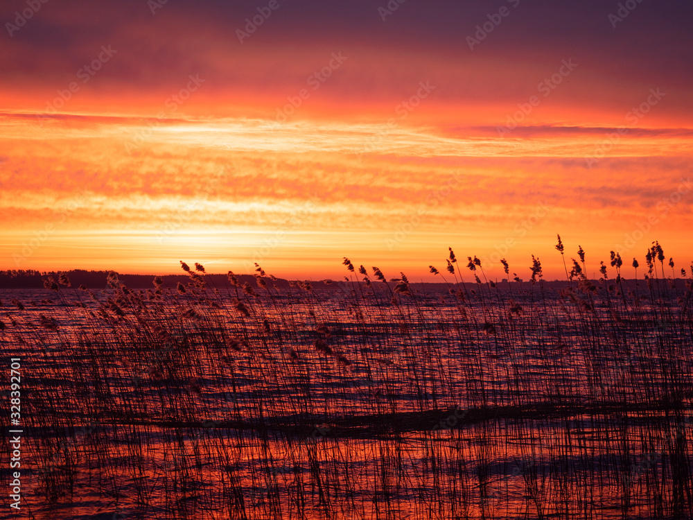 Colorful spectacular sunrise on a forest lake with reeds