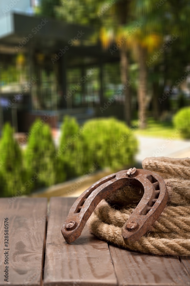 Metal horseshoe and lariat lasso on wooden table