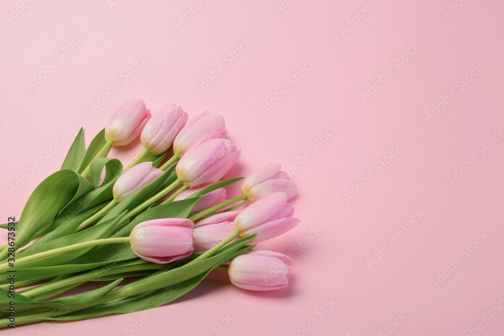 pink tulip flowers with copy space