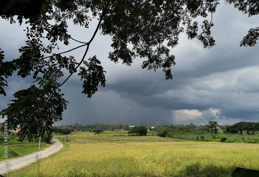 Sky with rain clouds on the fields