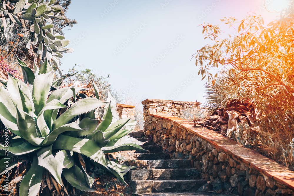 Mediterranean park, Spain, Catalonia, Barcelona. Old village Garden design. Streets of Old Mediterra