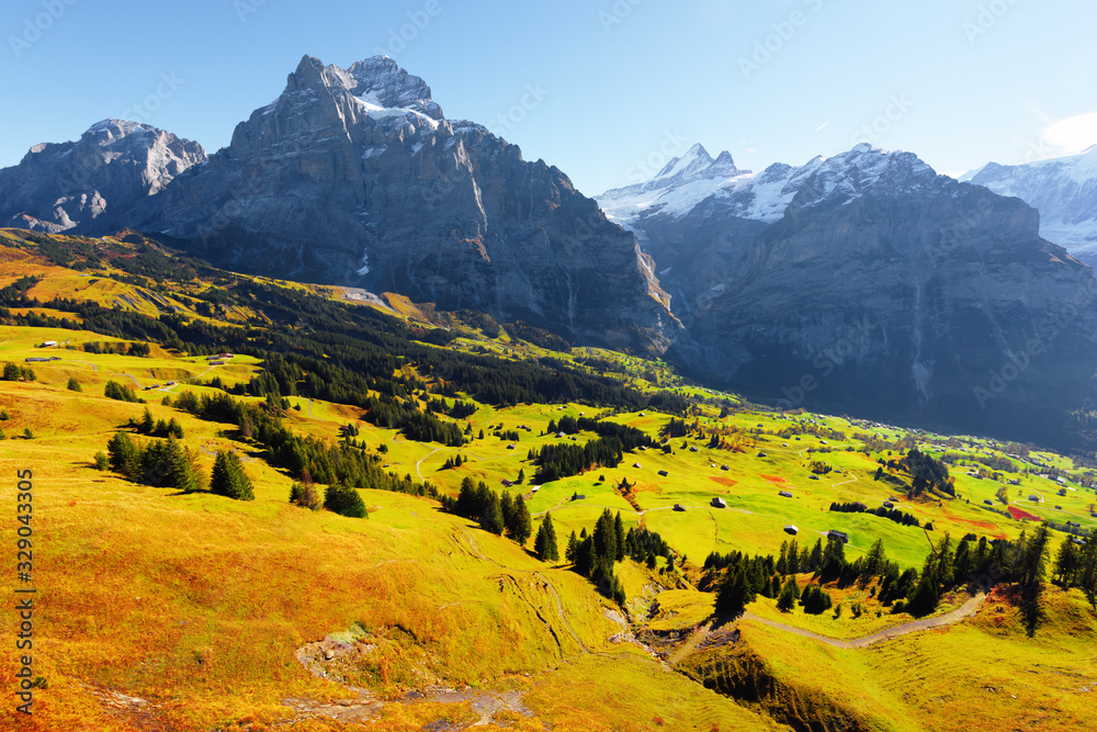 Sw Grindelwald村美丽的秋季景观，绿色的草地和蓝色的雪山