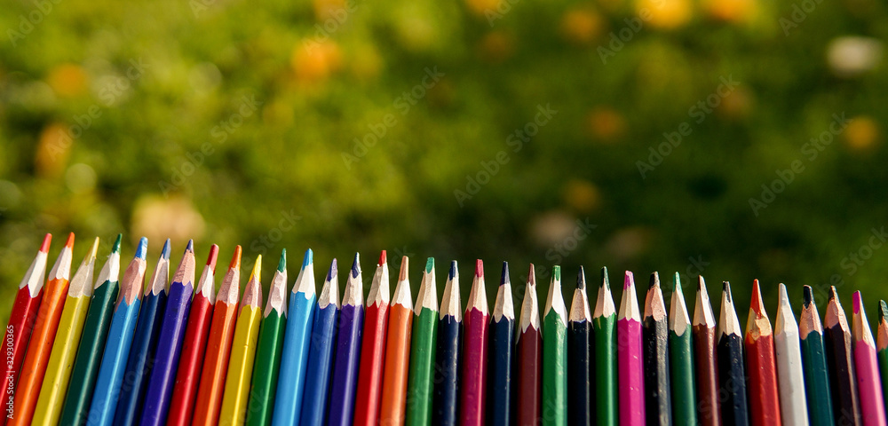 Colorful pencils in a row over natural green background. Like a fence from pencils over sunny green 