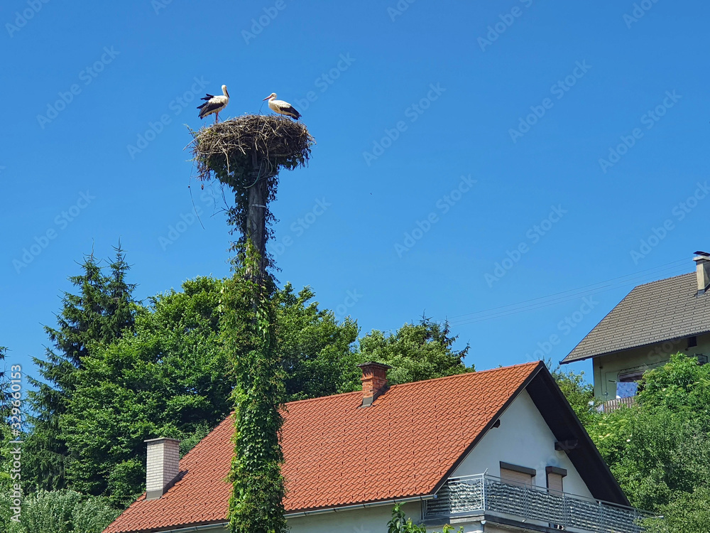 Parents look after their cute baby stork as they nest atop of a wooden column