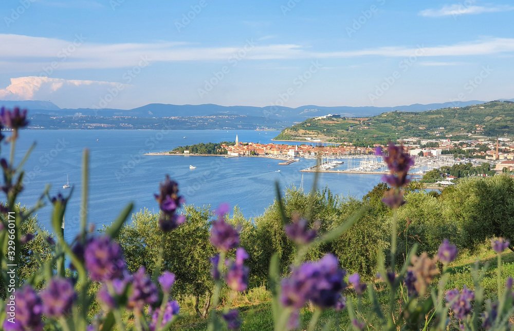 CLOSE UP: Idyllic view of a coastal town and nearby harbor from fragrant park.