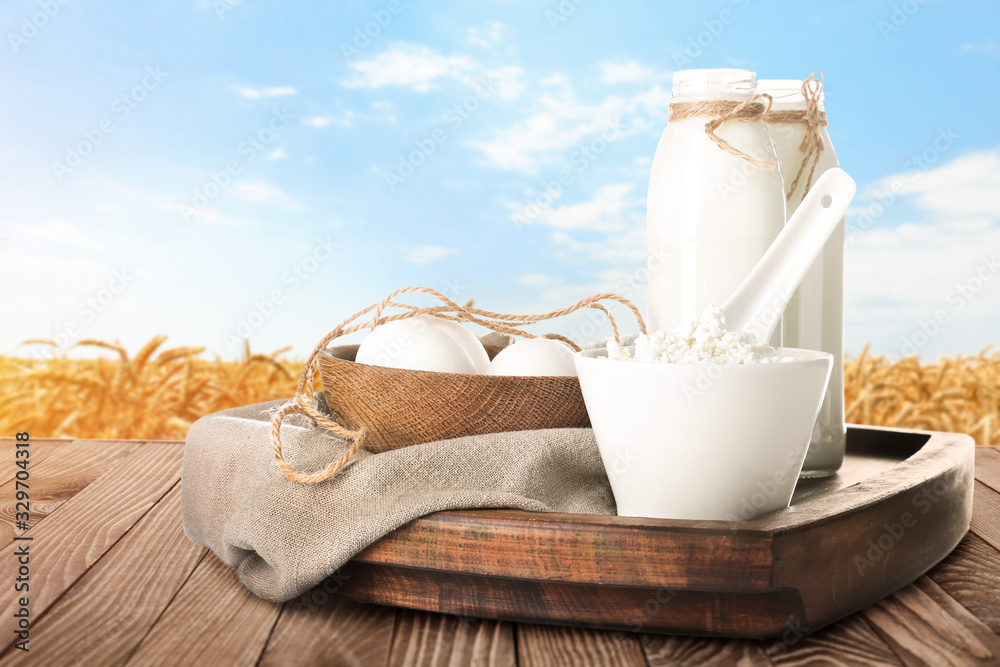 Different milk products with eggs on wooden table in wheat field 