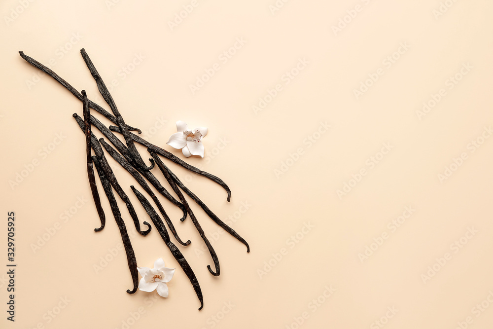 Aromatic vanilla sticks on color background