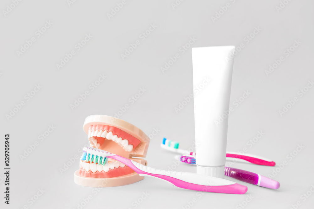 Tooth brushes, paste and plastic jaw model on light background