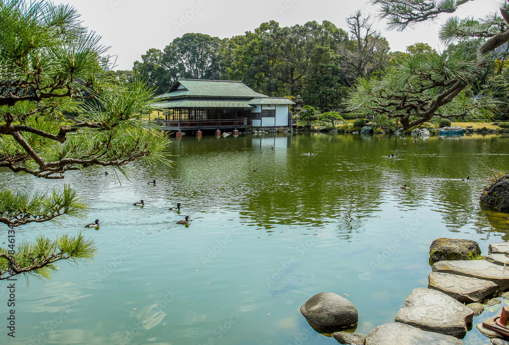 日本花园东京清泉