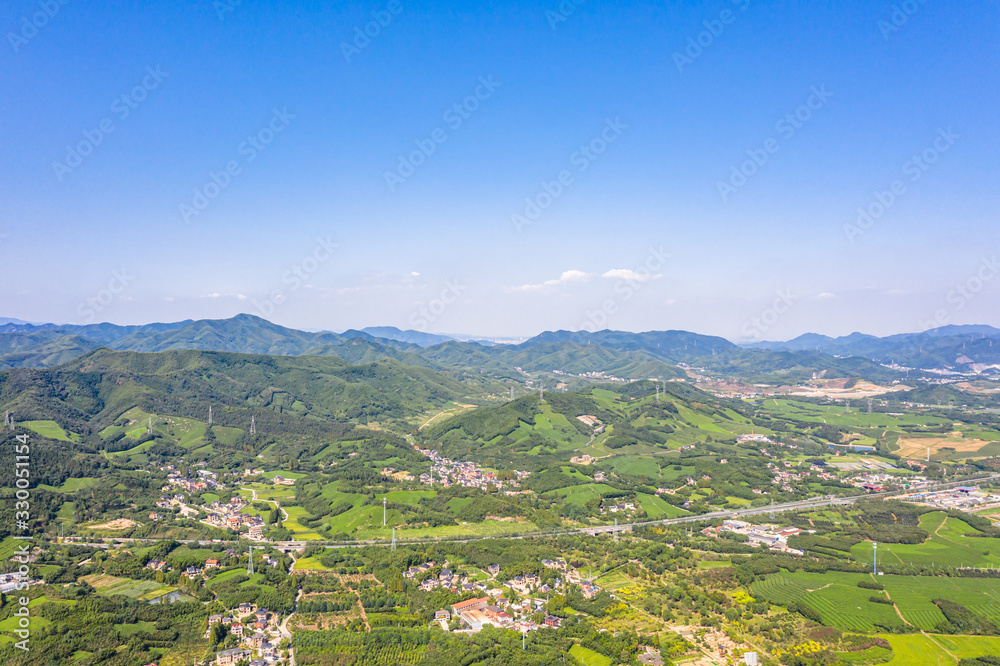 tea plantation