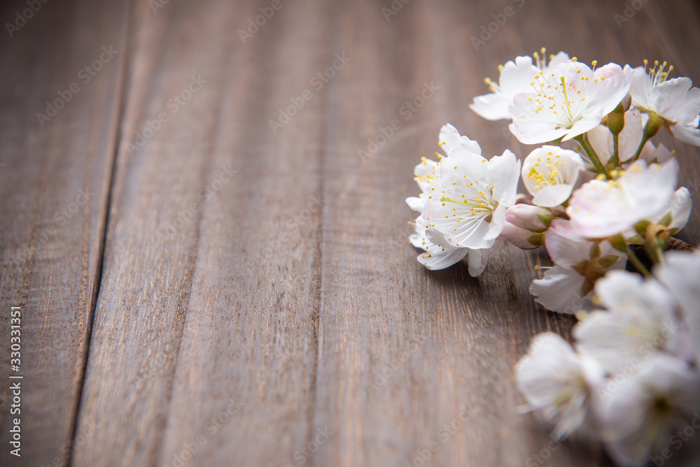 桜の花